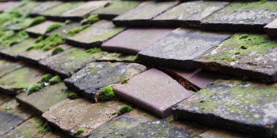Frilford roof repair costs